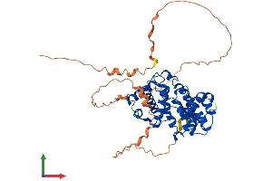 Protein Structure (PS) image for Cyclin A2 (CCNA2) (AA 1-422) protein (His tag) (ABIN7563406)