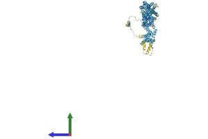 Protein Structure (PS) image for Chromosome 14 Open Reading Frame 49 (C14orf49) (AA 1-975) protein (His tag) (ABIN7563777)