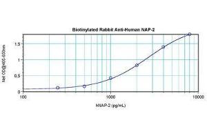 Image no. 1 for anti-Pro-Platelet Basic Protein (Chemokine (C-X-C Motif) Ligand 7) (PPBP) antibody (Biotin) (ABIN465450) (CXCL7 antibody  (Biotin))