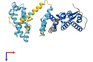 AlphaFold protein structure predicition of Mouse Recombinant Fancf Protein, UniprotID E9Q5Z5 (FANCF Protein (AA 1-343) (His tag))