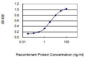 Detection limit for recombinant GST tagged RRP15 is 0. (RRP15 antibody  (AA 1-259))