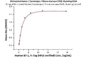 ELISA image for CD28 (CD28) (AA 19-152) (Active) protein (His tag,AVI tag,Biotin) (ABIN6972981)