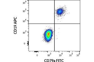 Flow cytometry multicolor surface staining pattern of human lymphocytes using anti-human CD19 (LT19) APC antibody (10 μL reagent / 100 μL of peripheral whole blood) and intracellular staining of human lymphocytes using anti-human CD79a (HM57) FITC antibody (4 μL reagent / 100 μL of peripheral whole blood). (CD79a antibody  (AA 202-216) (FITC))