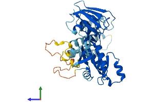 Protein Structure (PS) image for Developmentally Regulated GTP Binding Protein 2 (DRG2) (AA 1-364) protein (His tag) (ABIN7547176)