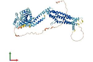 Protein Structure (PS) image for MX dynamin like GTPase 2 (MX2) (AA 1-715) protein (His tag) (ABIN7554637)