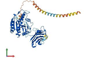 AlphaFold protein structure predicition of Mouse Recombinant Mgat4c Protein, UniprotID Q9D306