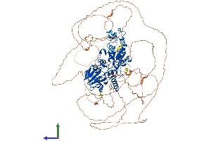AlphaFold protein structure predicition of Human Recombinant DCLRE1A Protein, UniprotID Q6PJP8 (SNM1 Protein (AA 1-1040) (His tag))