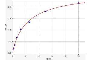 Typical standard curve (MTOR ELISA Kit)