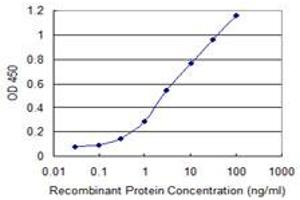 Detection limit for recombinant GST tagged DEPDC1 is 0. (DEPDC1 antibody  (AA 93-186))