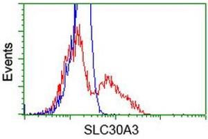 HEK293T cells transfected with either RC205310 overexpress plasmid (Red) or empty vector control plasmid (Blue) were immunostained by anti-SLC30A3 antibody (ABIN2453647), and then analyzed by flow cytometry.