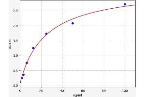 Amiloride Binding Protein 1 (Amine Oxidase (Copper-Containing)) (ABP1) ELISA Kit
