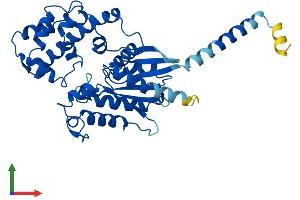 AlphaFold protein structure predicition of Mouse Recombinant Gnaq Protein, UniprotID P21279 (GNAQ Protein (AA 1-359) (His tag))