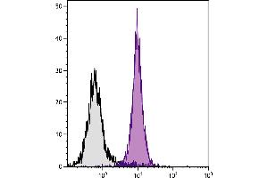 BALB/c mouse splenocytes were stained with Mouse Anti-Mouse H-2Db-UNLB. (Goat anti-Mouse IgG2a (Heavy Chain) Antibody (FITC))