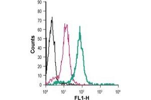 Cell surface detection of PTGER2 in live intact human  monocytic leukemia cells: + rabbit IgG isotype control-FITC.