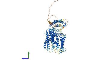 AlphaFold protein structure predicition of Human Recombinant XPR1 Protein, UniprotID Q9UBH6 (xpr1 Protein (AA 1-696) (His tag))