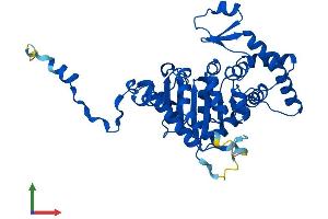 Protein Structure (PS) image for Deoxyhypusine Synthase (DHPS) (AA 1-369) protein (His tag) (ABIN7557100)