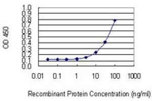 NUDT13 antibody  (AA 2-110)