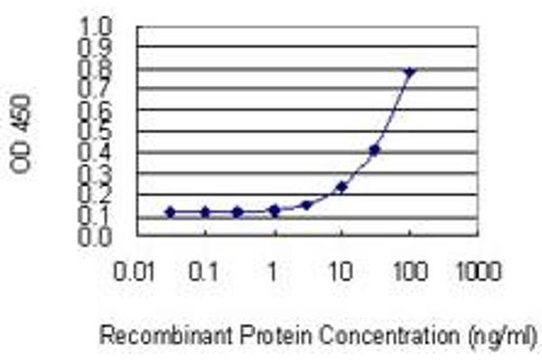 NUDT13 antibody  (AA 2-110)