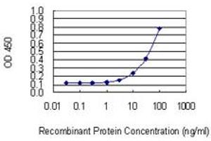 Detection limit for recombinant GST tagged NUDT13 is 1 ng/ml as a capture antibody. (NUDT13 antibody  (AA 2-110))