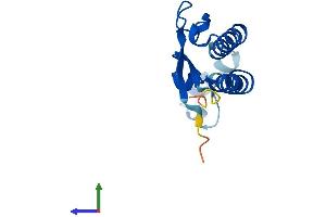 AlphaFold protein structure predicition of Human Recombinant GOLGA7 Protein, UniprotID Q7Z5G4
