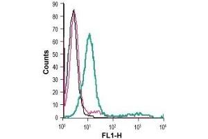 Cell surface detection of GPR65 in live intact mouse M1 myeloid leukemia cells: (black line) Cells. (GPR65 antibody  (1st Extracellular Loop) (FITC))