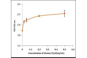 Activity Assay (AcA) image for Chemokine (C-C Motif) Ligand 22 (CCL22) (Active) protein (ABIN5509429) (CCL22 Protein)