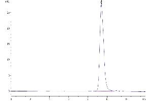 The purity of Mouse TIGIT is greater than 95 % as determined by SEC-HPLC. (TIGIT Protein (AA 26-143) (His tag))