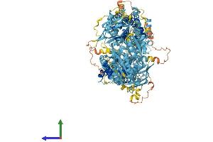 AlphaFold protein structure predicition of Human Recombinant ABCA10 Protein, UniprotID Q8WWZ4 (ABCA10 Protein (AA 1-1543) (His tag))
