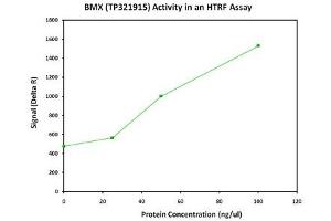 Bioactivity measured with Activity Assay (BMX Protein (Transcript Variant 2) (Myc-DYKDDDDK Tag))
