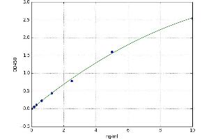 Wingless-Type MMTV Integration Site Family, Member 5A (WNT5A) ELISA Kit