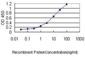 Detection limit for recombinant GST tagged USF1 is approximately 0. (USF1 antibody  (AA 1-310))