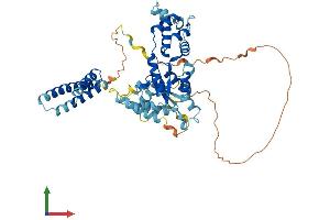 AlphaFold protein structure predicition of Mouse Recombinant Katnal1 Protein, UniprotID Q8K0T4