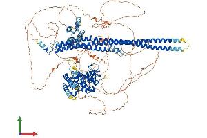 Protein Structure (PS) image for rho GTPase Activating Protein 29 (ARHGAP29) (AA 1-1261) protein (His tag) (ABIN7555213)