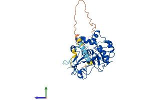AlphaFold protein structure predicition of Human Recombinant ST3GAL2 Protein, UniprotID Q16842 (ST3GAL2 Protein (AA 1-350) (His tag))