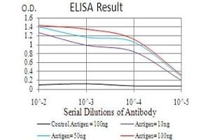 Black line: Control Antigen (100 ng), Purple line: Antigen(10 ng), Blue line: Antigen (50 ng), Red line: Antigen (100 ng), (HDAC2 antibody  (AA 217-327))