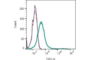 Cell surface detection of NHE7 by indirect flow cytometry in live intact human  MG glioma line: + goat-anti-rabbit-FITC. (NHE7 antibody  (Extracellular))