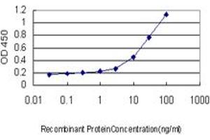 Detection limit for recombinant GST tagged MEF2A is approximately 0. (MEF2A antibody  (AA 71-170))