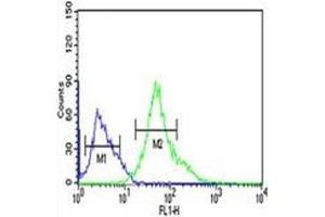 XBP1 antibody flow cytometric analysis of Ramos cells (right histogram) compared to a negative control (left histogram).