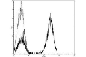 Image no. 1 for anti-CD3 (CD3) antibody (FITC) (ABIN475989) (CD3 antibody  (FITC))