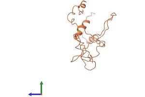 AlphaFold protein structure predicition of Human Recombinant KRTAP9-2 Protein, UniprotID Q9BYQ4 (KRTAP9-2 Protein (AA 1-174) (His tag))