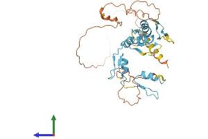 AlphaFold protein structure predicition of Human Recombinant ZIC4 Protein, UniprotID Q8N9L1 (ZIC4 Protein (AA 1-334) (His tag))