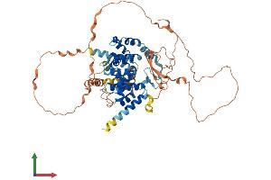 AlphaFold protein structure predicition of Human Recombinant TBC1D3G Protein, UniprotID Q6DHY5 (TBC1D3G Protein (AA 1-549) (His tag))