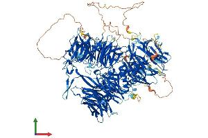 AlphaFold protein structure predicition of Mouse Recombinant Cpsf1 Protein, UniprotID Q9EPU4 (CPSF1 Protein (AA 1-1441) (His tag))