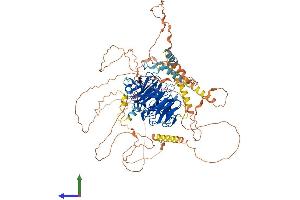 AlphaFold protein structure predicition of Mouse Recombinant Dcaf5 Protein, UniprotID Q80T85 (DCAF5 Protein (AA 1-946) (His tag))