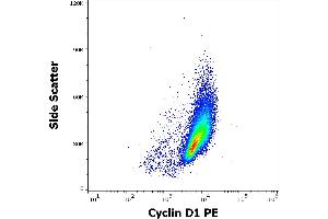 Flow cytometry intracellular staining pattern of HUVEC cells stained using anti-Cyclin D1 (DCS-6) PE antibody (concentration in sample 15 μg/mL). (Cyclin D1 antibody  (AA 1-295) (PE))