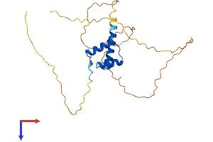 AlphaFold protein structure predicition of Human Recombinant NANOGP1 Protein, UniprotID Q8N7R0 (NANOGP1 Protein (AA 1-232) (His tag))