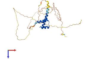 AlphaFold protein structure predicition of Mouse Recombinant Nanog Protein, UniprotID Q80Z64 (Nanog Protein (AA 1-305) (His tag))