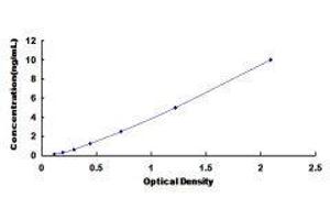 Prepronociceptin (PNOC) ELISA Kit