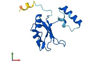 Protein Structure (PS) image for Pre-mRNA Branch Site Protein p14 (SF3B14) (AA 1-125) protein (His tag) (ABIN7546046)