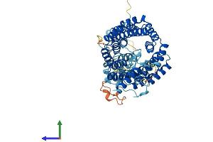 AlphaFold protein structure predicition of Human Recombinant TTC8 Protein, UniprotID Q8TAM2